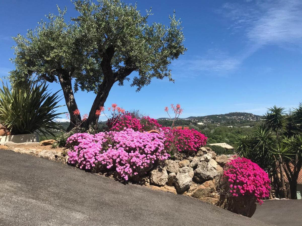 3 Bedrooms Villa Near Cannes - Pool & Jacuzzi - Sea View Мандельё-ла-Напуль Экстерьер фото