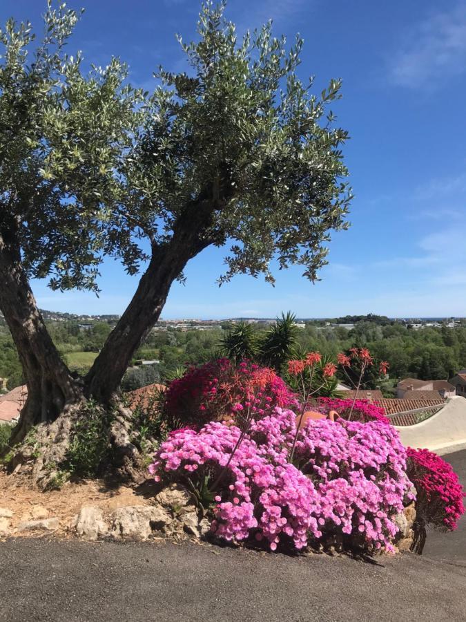 3 Bedrooms Villa Near Cannes - Pool & Jacuzzi - Sea View Мандельё-ла-Напуль Экстерьер фото